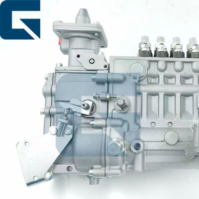 0423-4301 Fuel Injection Pump 04234301 for BF6L914 Engine