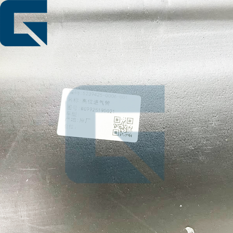 WG9925190021 Wg9925190021 Air Intake Assembly for Truck Parts